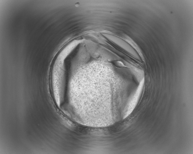 X0000074041002200609181948