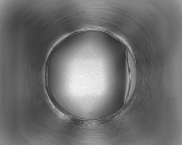 X0000074041003200609181948