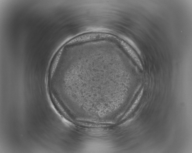 X0000074041007200609181947