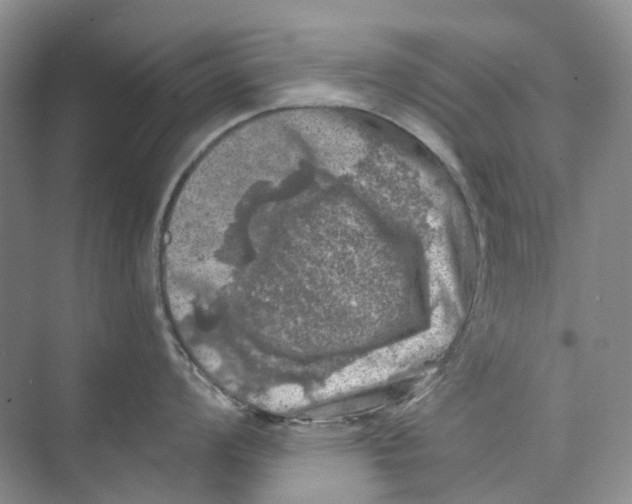 X0000074041008200609181947