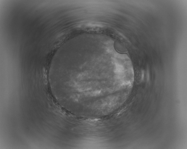 X0000074041013200609181947