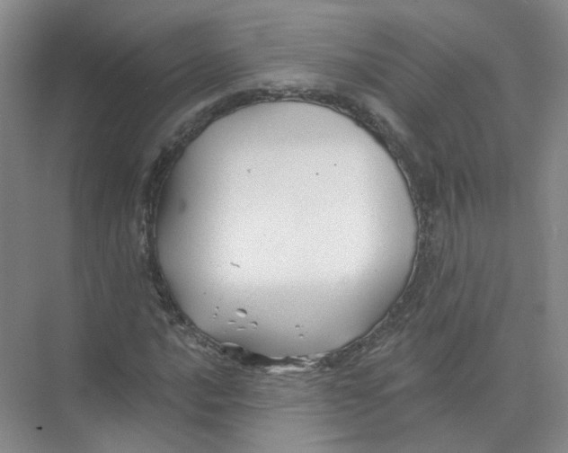 X0000074041016200609181947