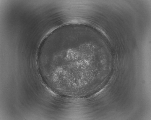 X0000074041018200609181947