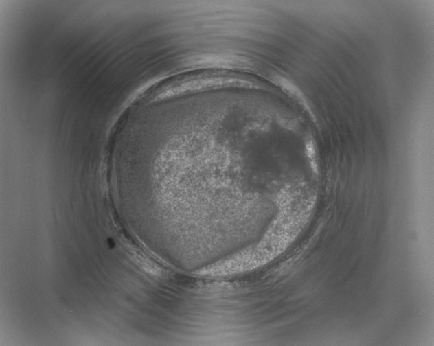 X0000074041019200609181947