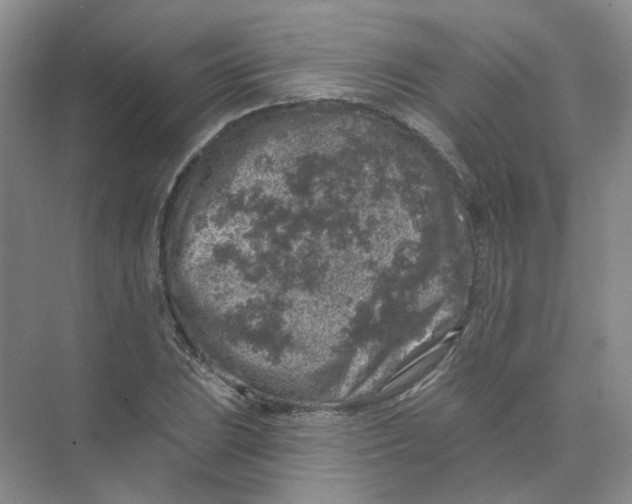 X0000074041023200609181947