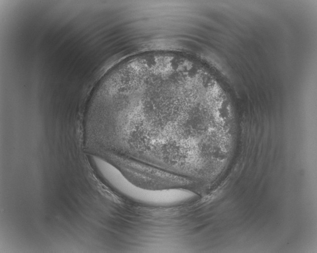 X0000074041025200609181947