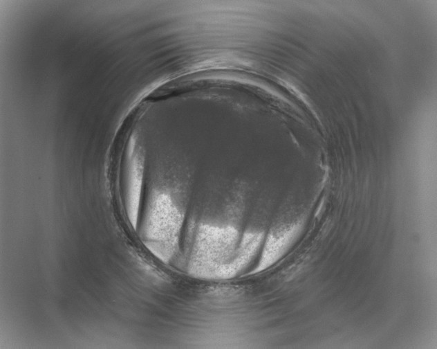 X0000074041026200609181947