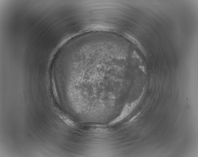 X0000074041027200609181947