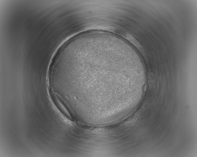 X0000074041028200609181947