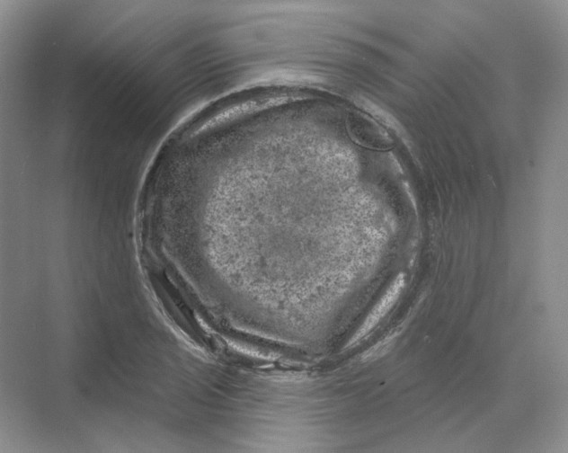 X0000074041029200609181947