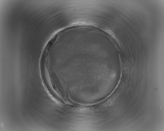 X0000074041030200609181947