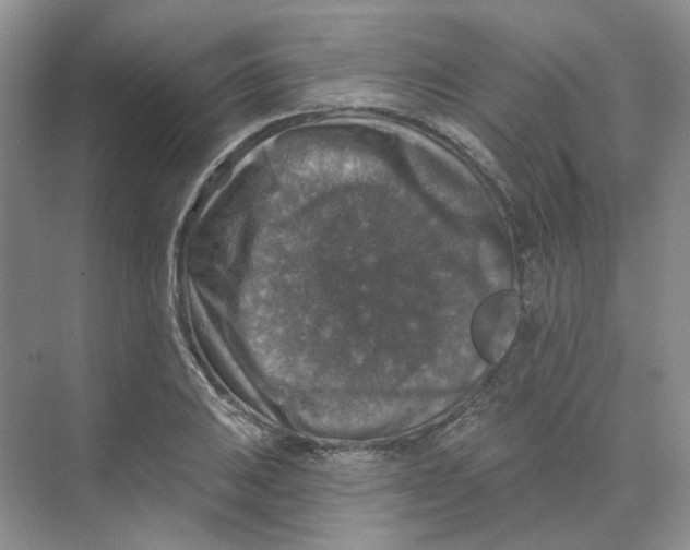 X0000074041031200609181947