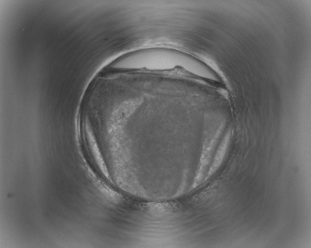 X0000074041032200609181947