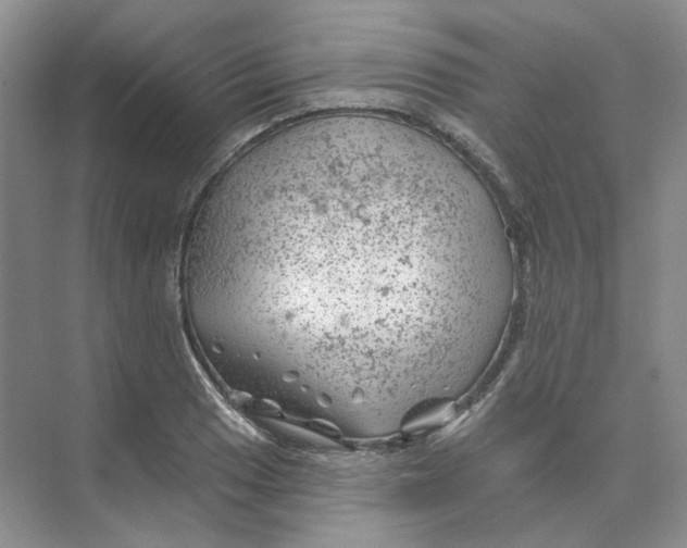 X0000074041033200609181947