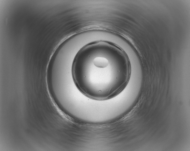 X0000074041034200609181947