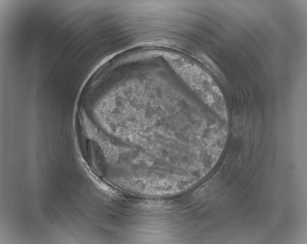 X0000074041036200609181947