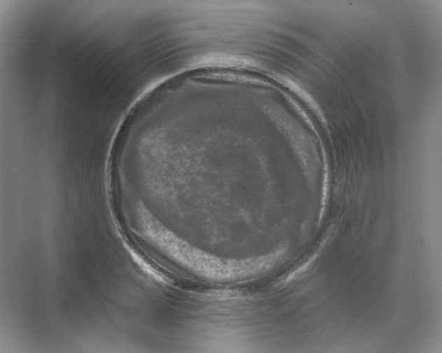 X0000074041037200609181947