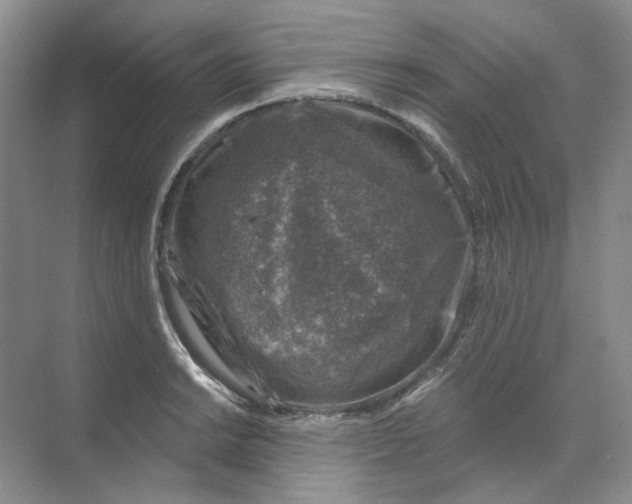 X0000074041038200609181947