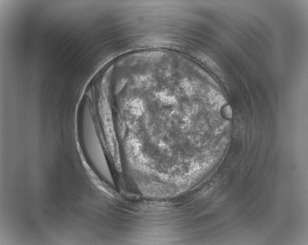 X0000074041039200609181947