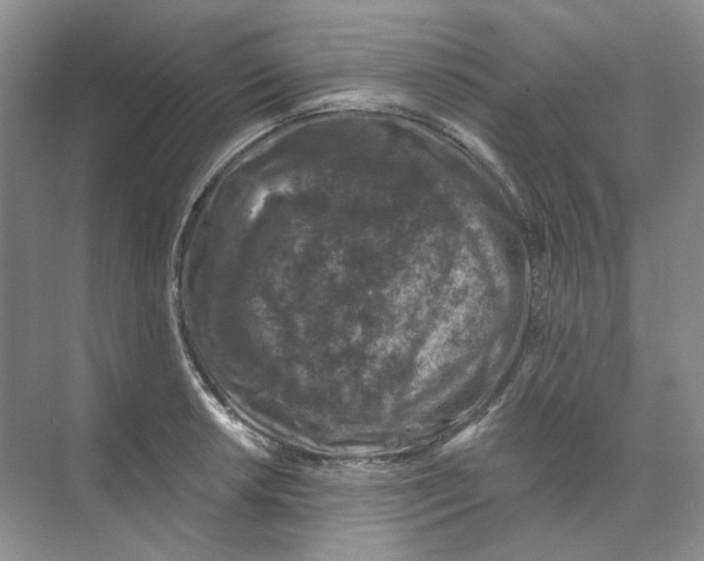 X0000074041042200609181947