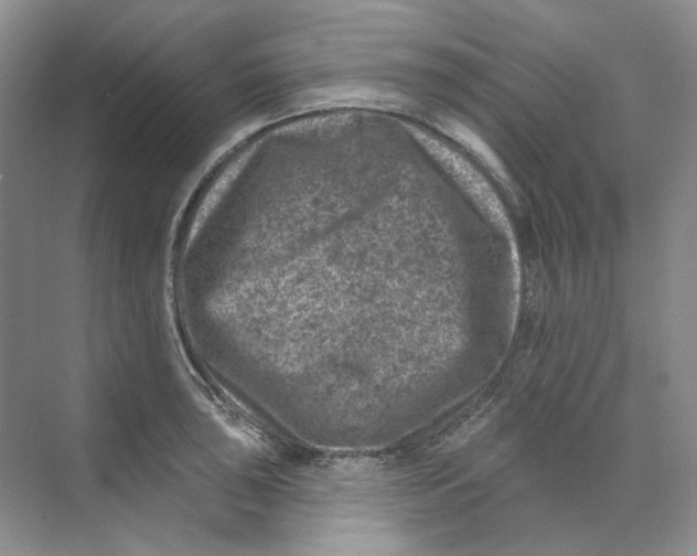 X0000074041043200609181947