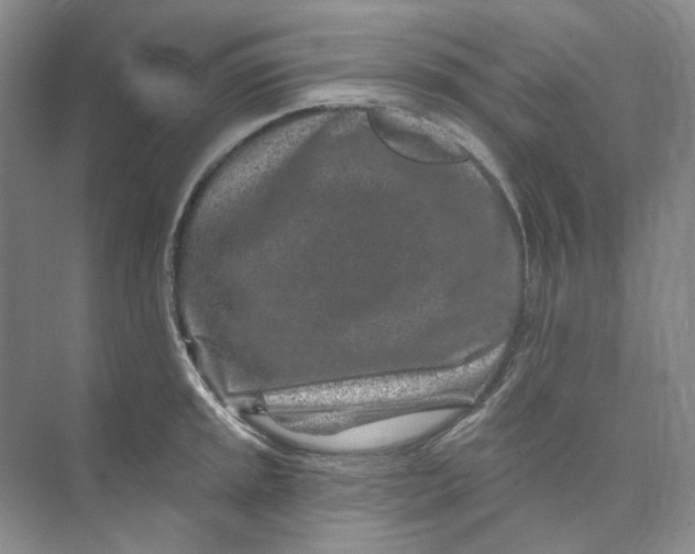 X0000074041045200609181947