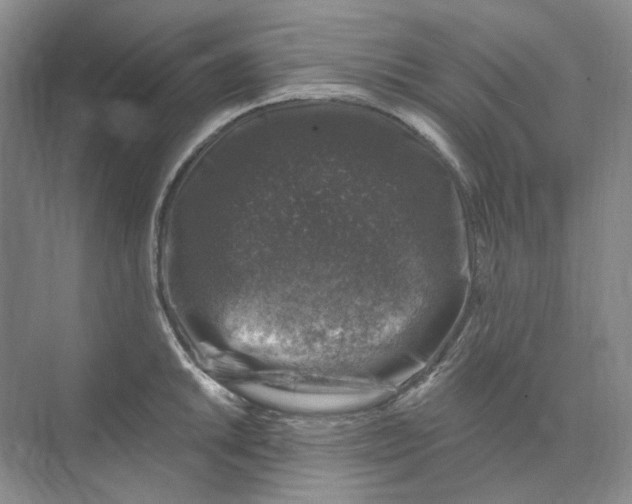 X0000074041046200609181947