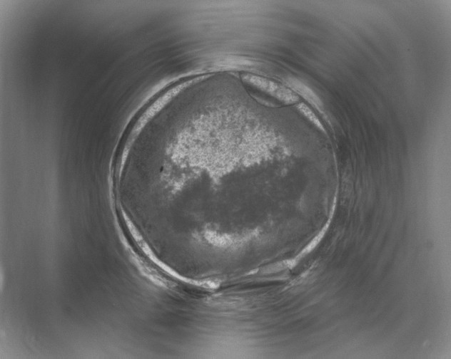 X0000074041047200609181947