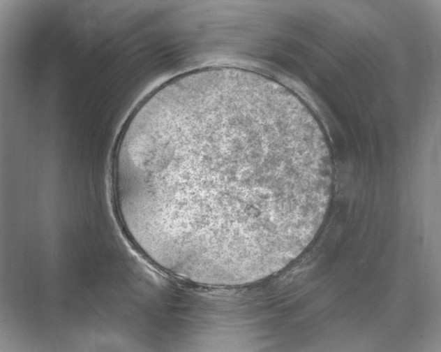 X0000074041048200609181947