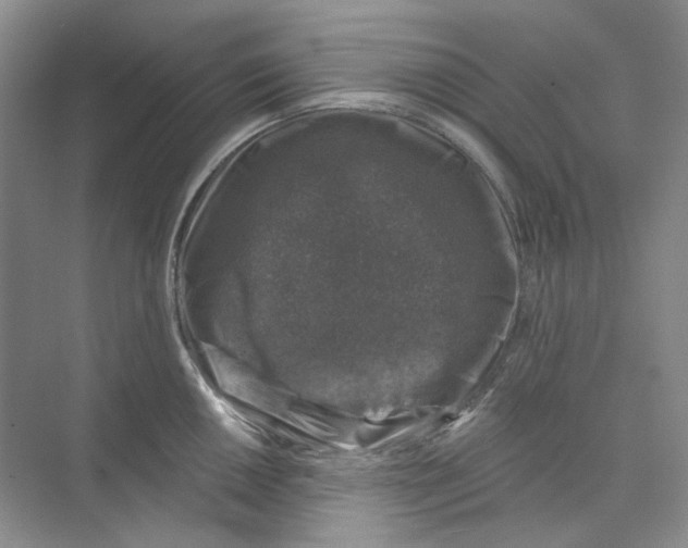 X0000074041050200609181947