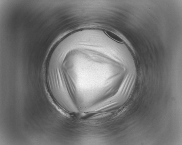 X0000074041053200609181947