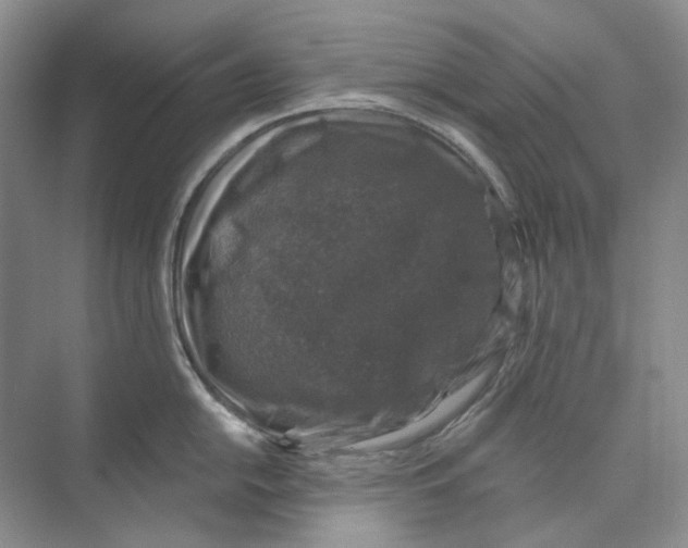 X0000074041054200609181947