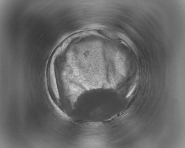 X0000074041055200609181947