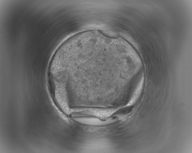 X0000074041056200609181947