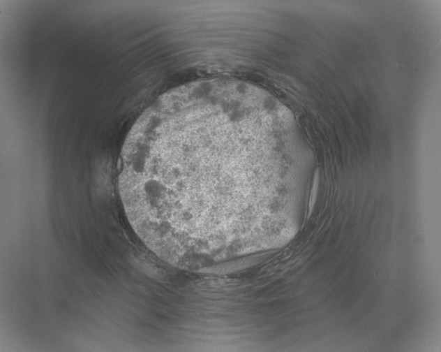 X0000074041060200609181947