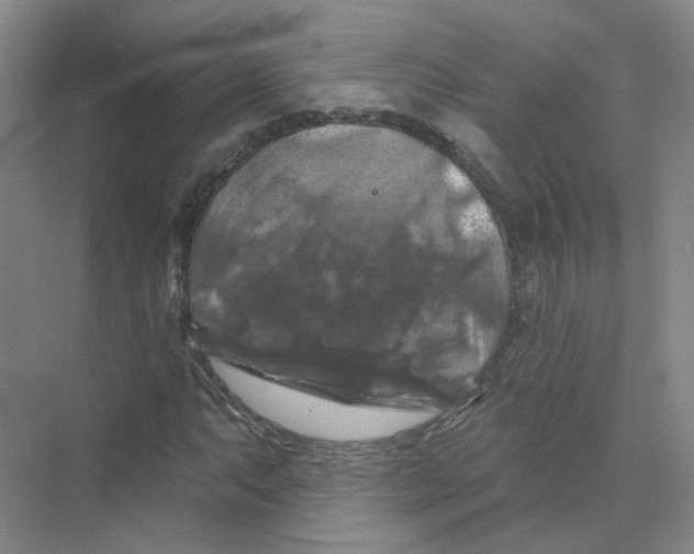 X0000074041063200609181946