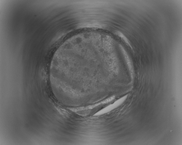 X0000074041064200609181946