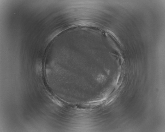 X0000074041065200609181946