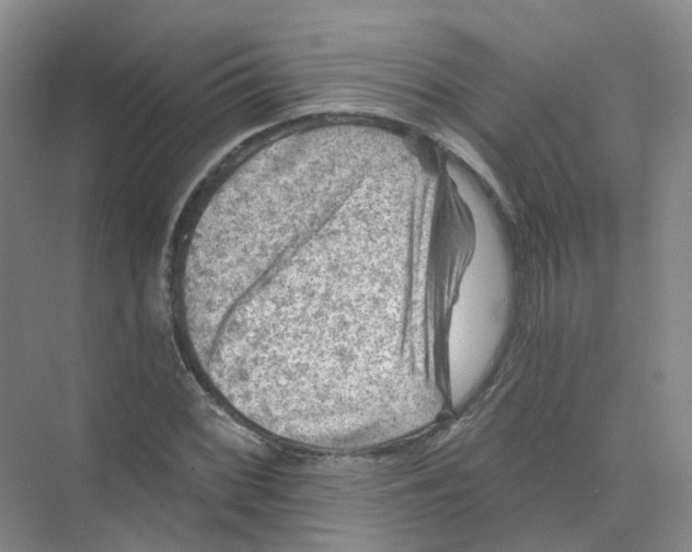 X0000074041068200609181946