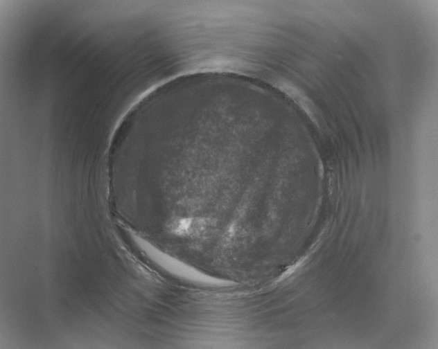 X0000074041069200609181946