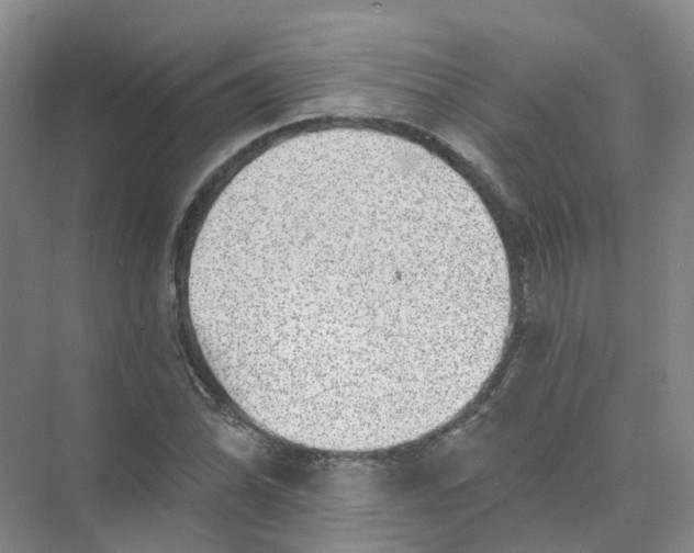 X0000074041070200609181946