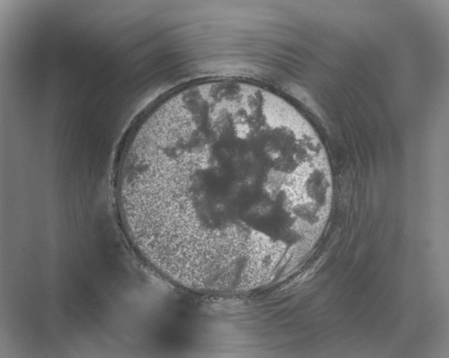 X0000074041071200609181946