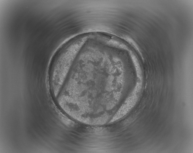 X0000074041072200609181946