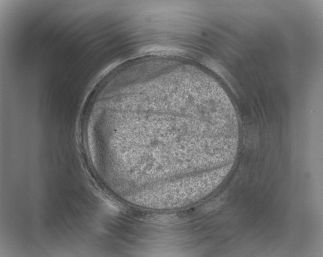 X0000074041074200609181946