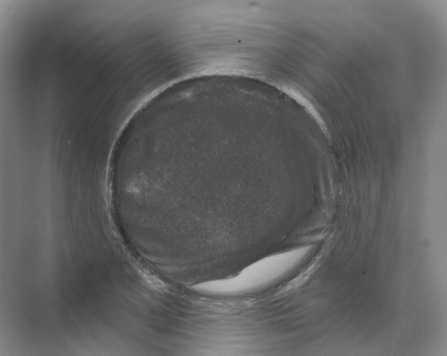 X0000074041077200609181946