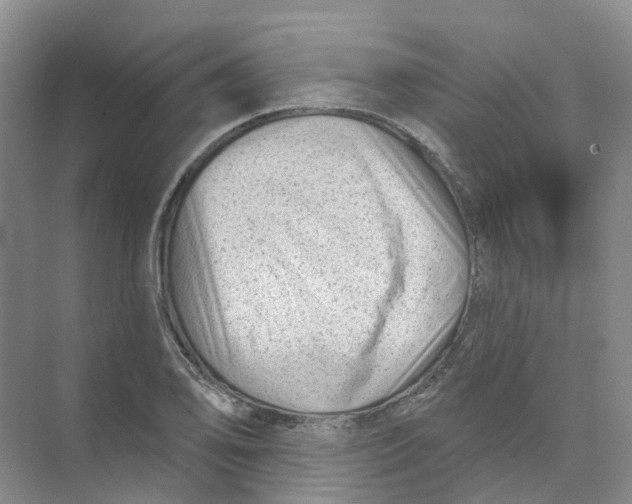 X0000074041078200609181946