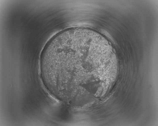 X0000074041079200609181946