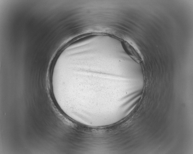 X0000074041080200609181946