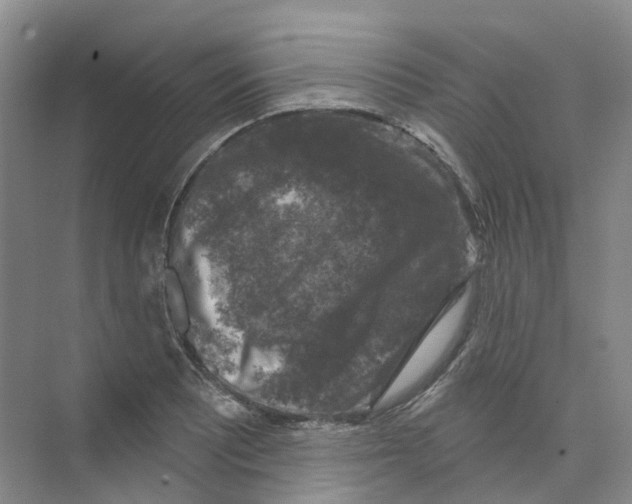 X0000074041081200609181946