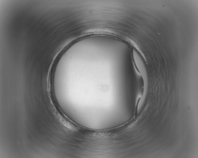 X0000074041082200609181946